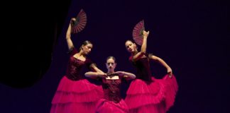 THE BEAUTY OF THE SPANISH DANCE Spanish classical dance